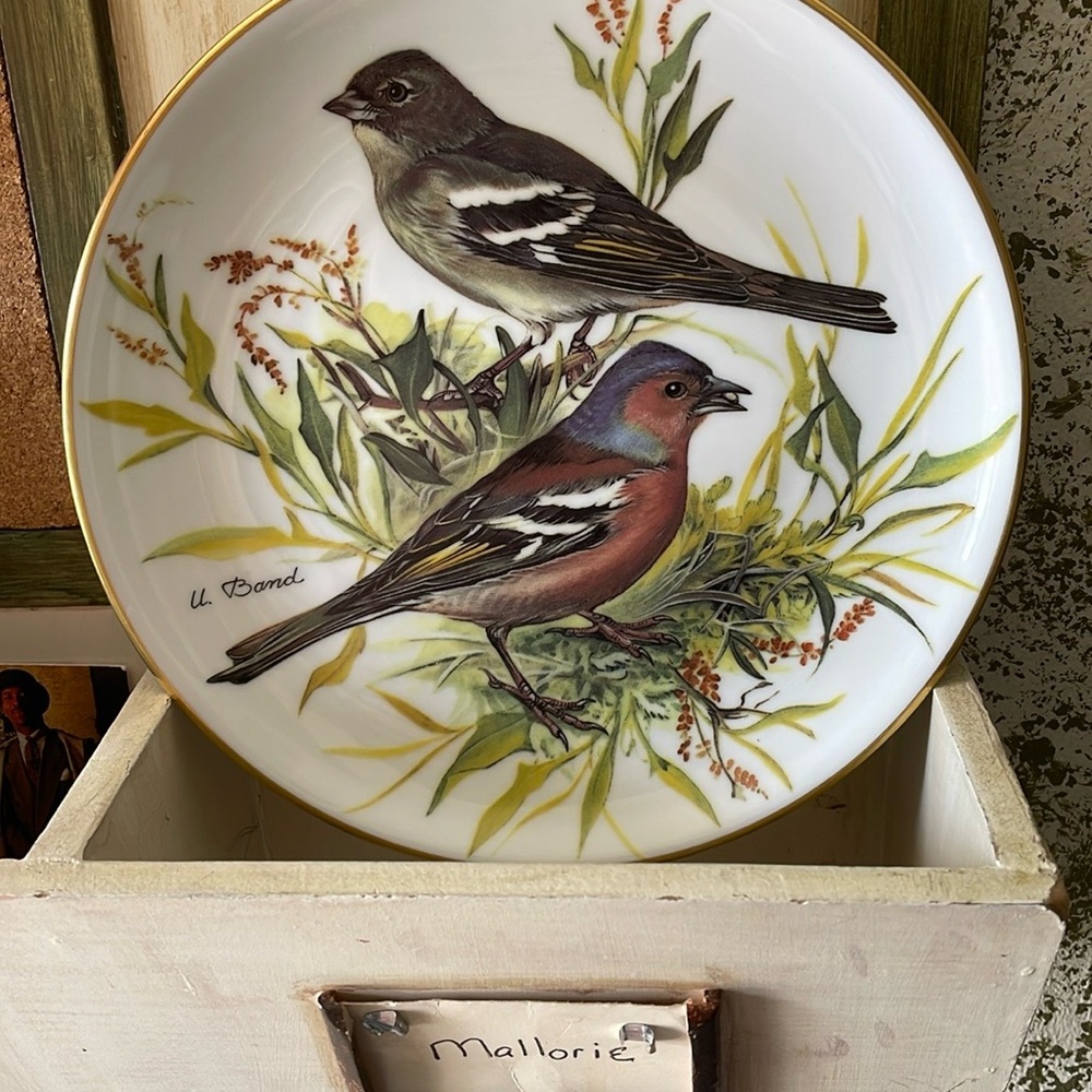 White and Gold Ceramic Plate with Bird Art WWF Ursula Band